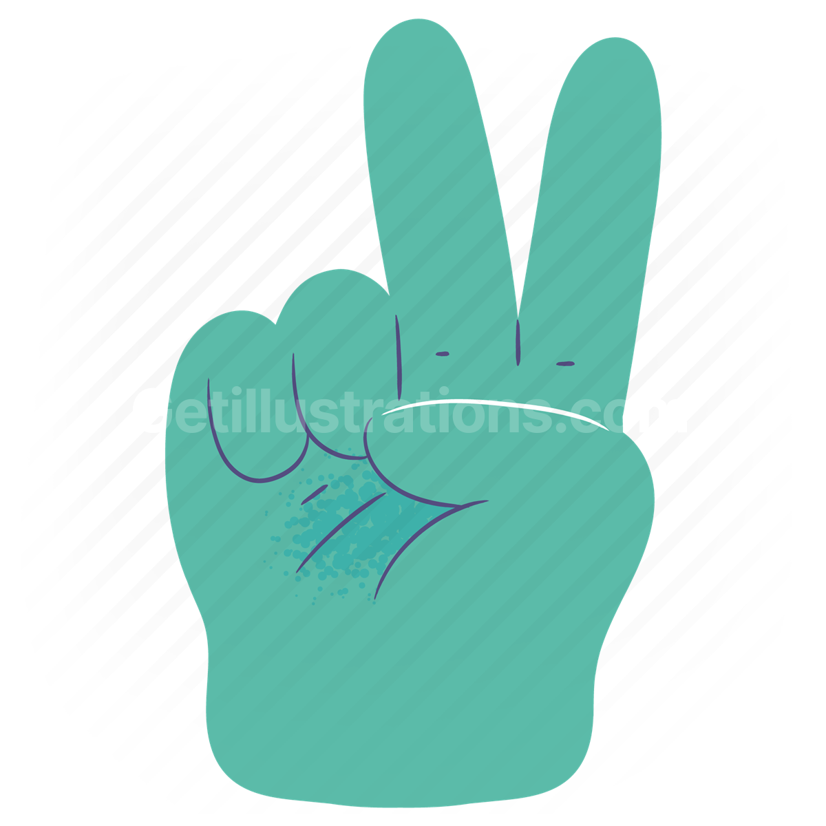 hand gesture, gesture, hand, sign, language, letters, alphabet, peace, two, v